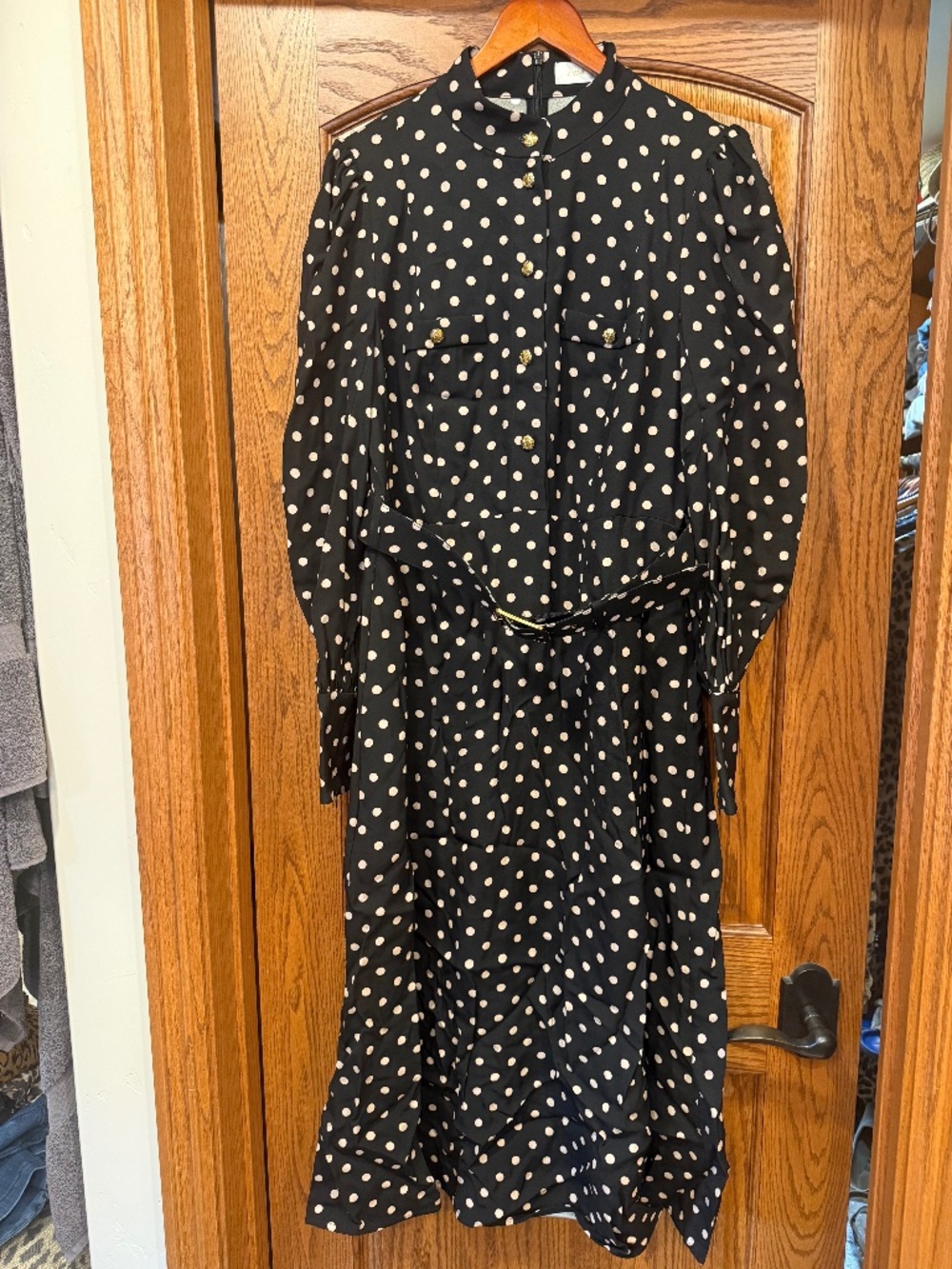 Zimmermann Polka Dot High Collar Dress with Gold Buttons and Belt